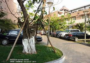 104-Quentin - Kunming 